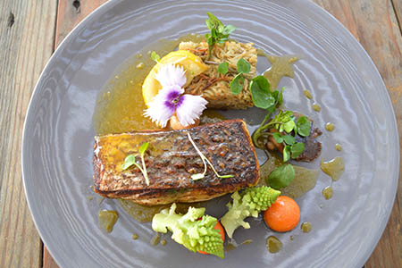 Snapper steak