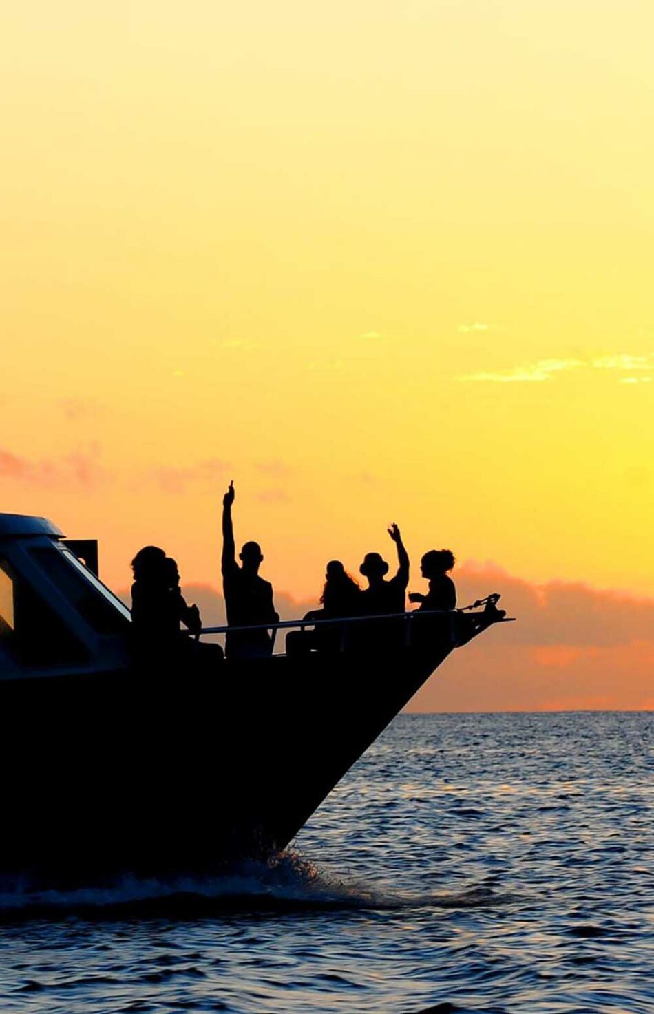 Faire une croisière
